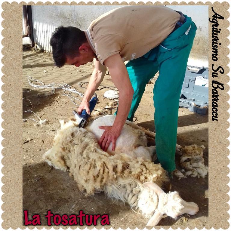 Agriturismo Su Barraccu Loceri ภายนอก รูปภาพ
